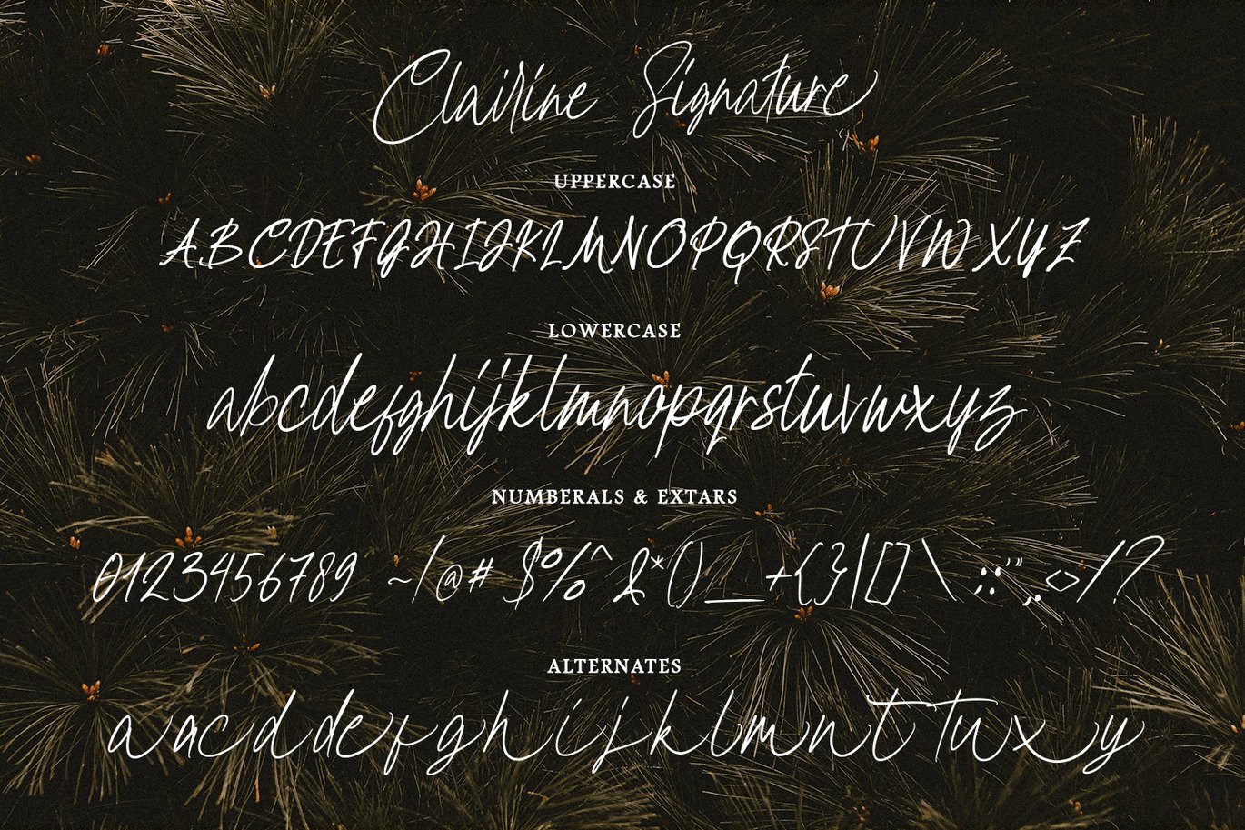 Clairine Signature Font Free Download Clairine Signature Font Free Download