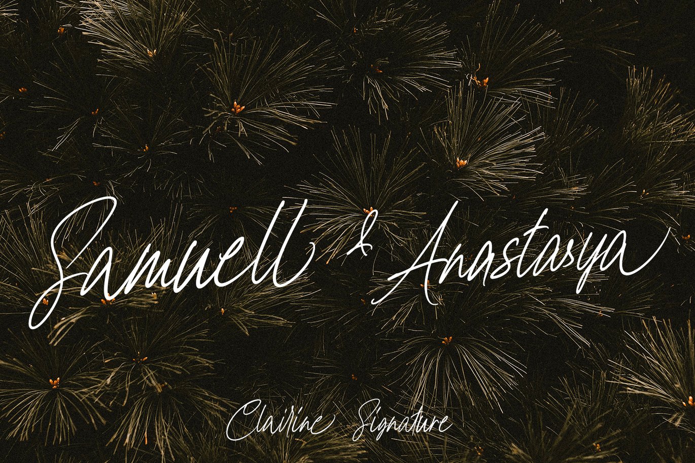 Clairine Signature Font Free Download Clairine Signature Font Free Download