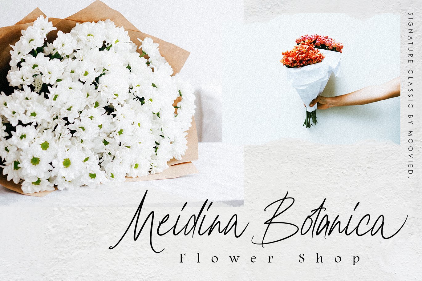 Clairine Signature Font Free Download Clairine Signature Font Free Download
