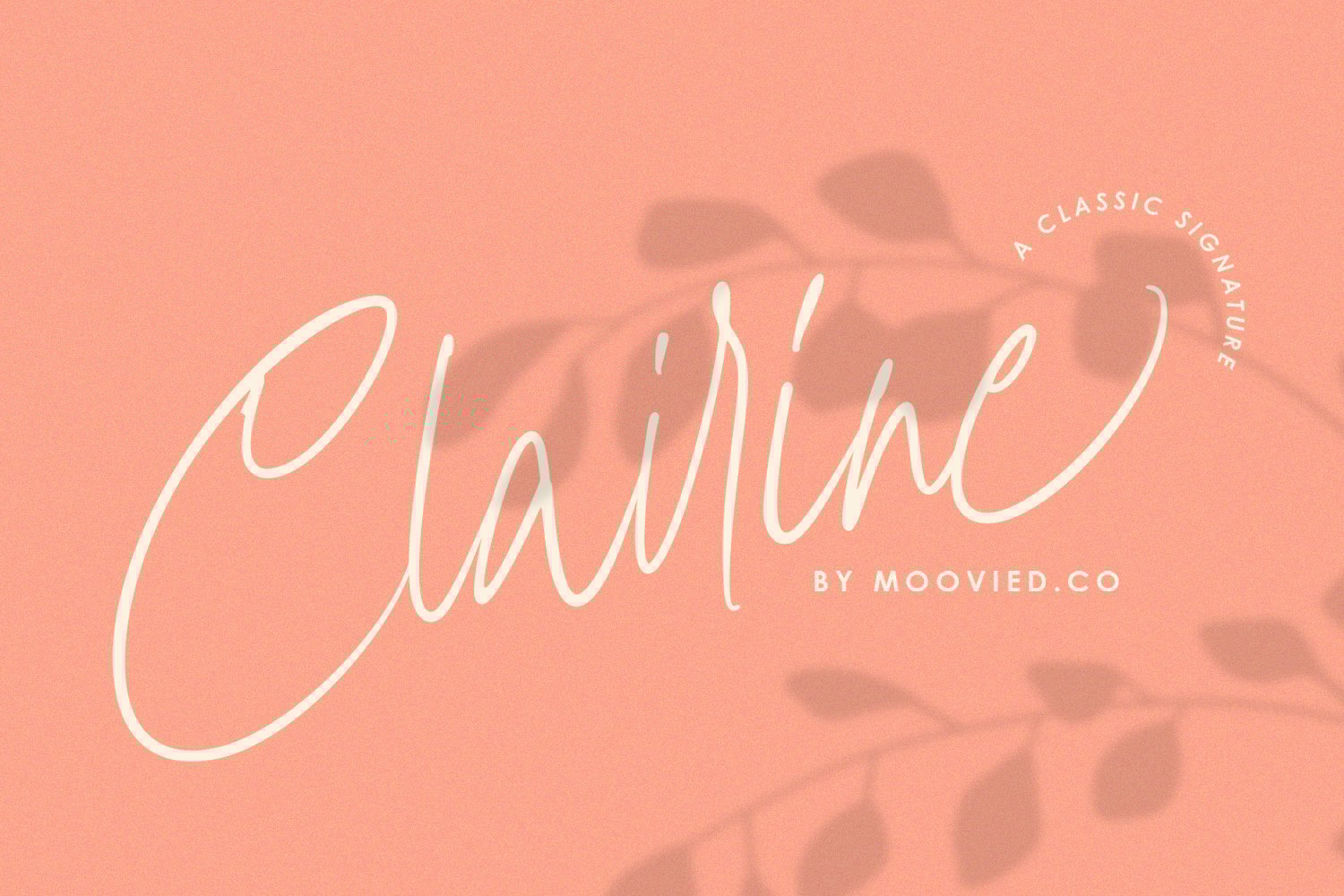 Clairine Signature Font Free Download Clairine Signature Font Free Download