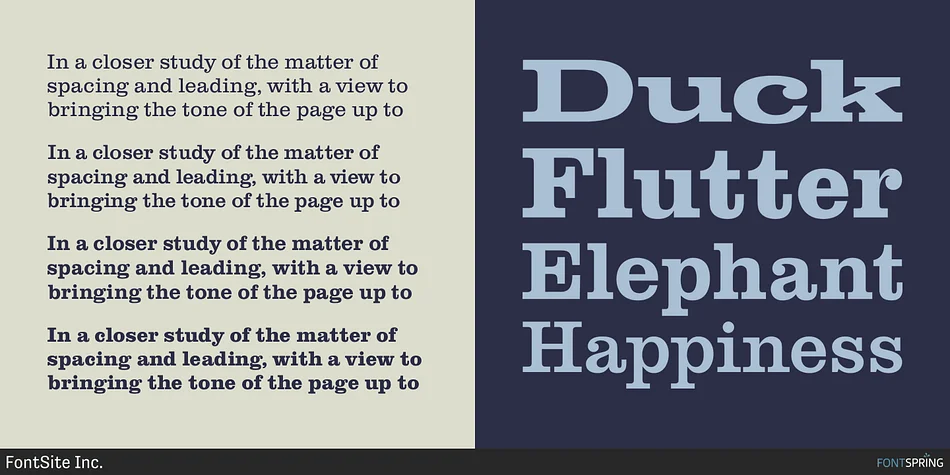 Clarendon FS Font
