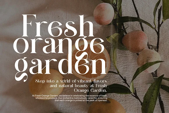 Climas Elegant Serif Font