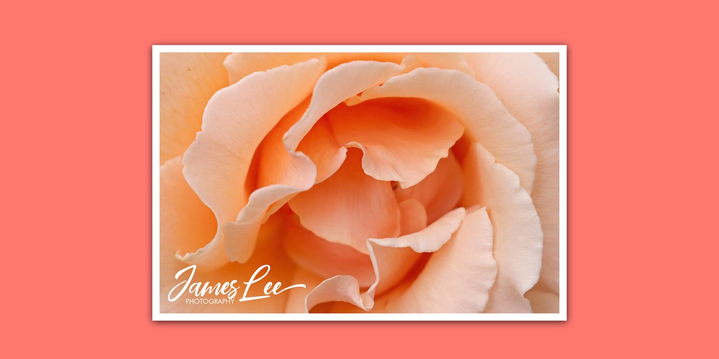 Coral Pen Font Free Download Coral Pen Font Free Download