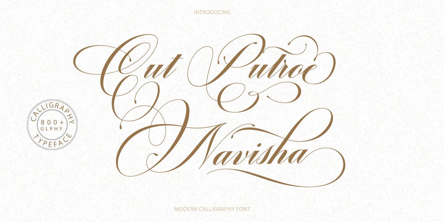 Cut Putroe Navisha Free Download Free Download Cut Putroe Navisha Free Download Free Download