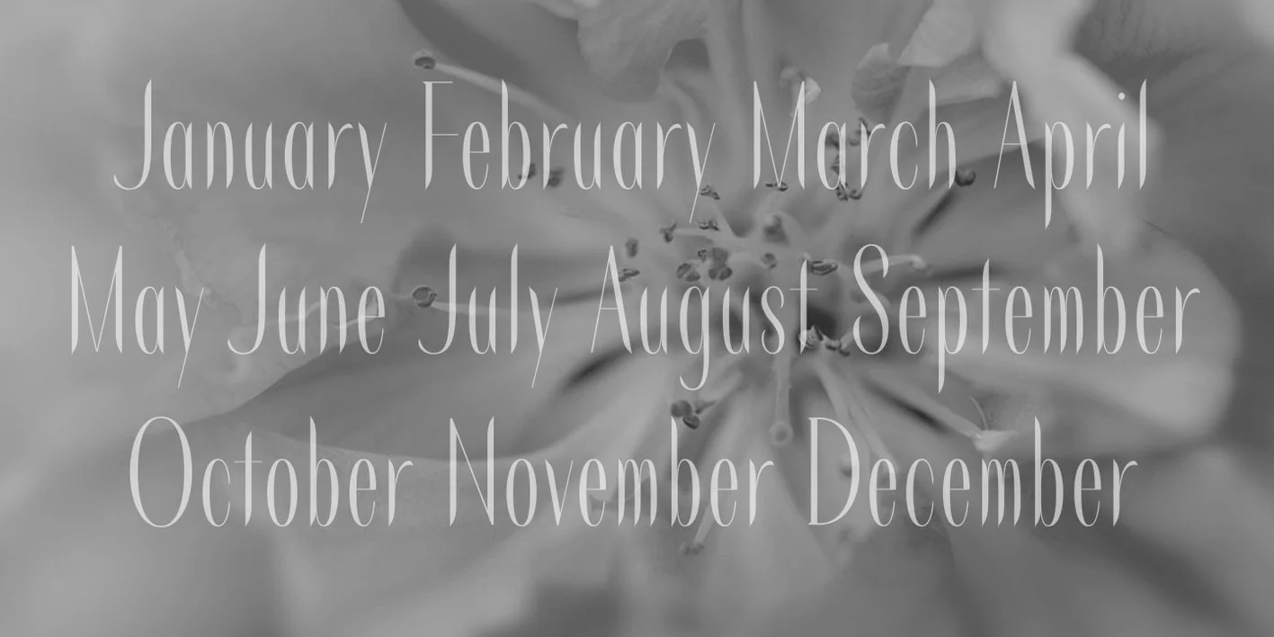 Czerny Font