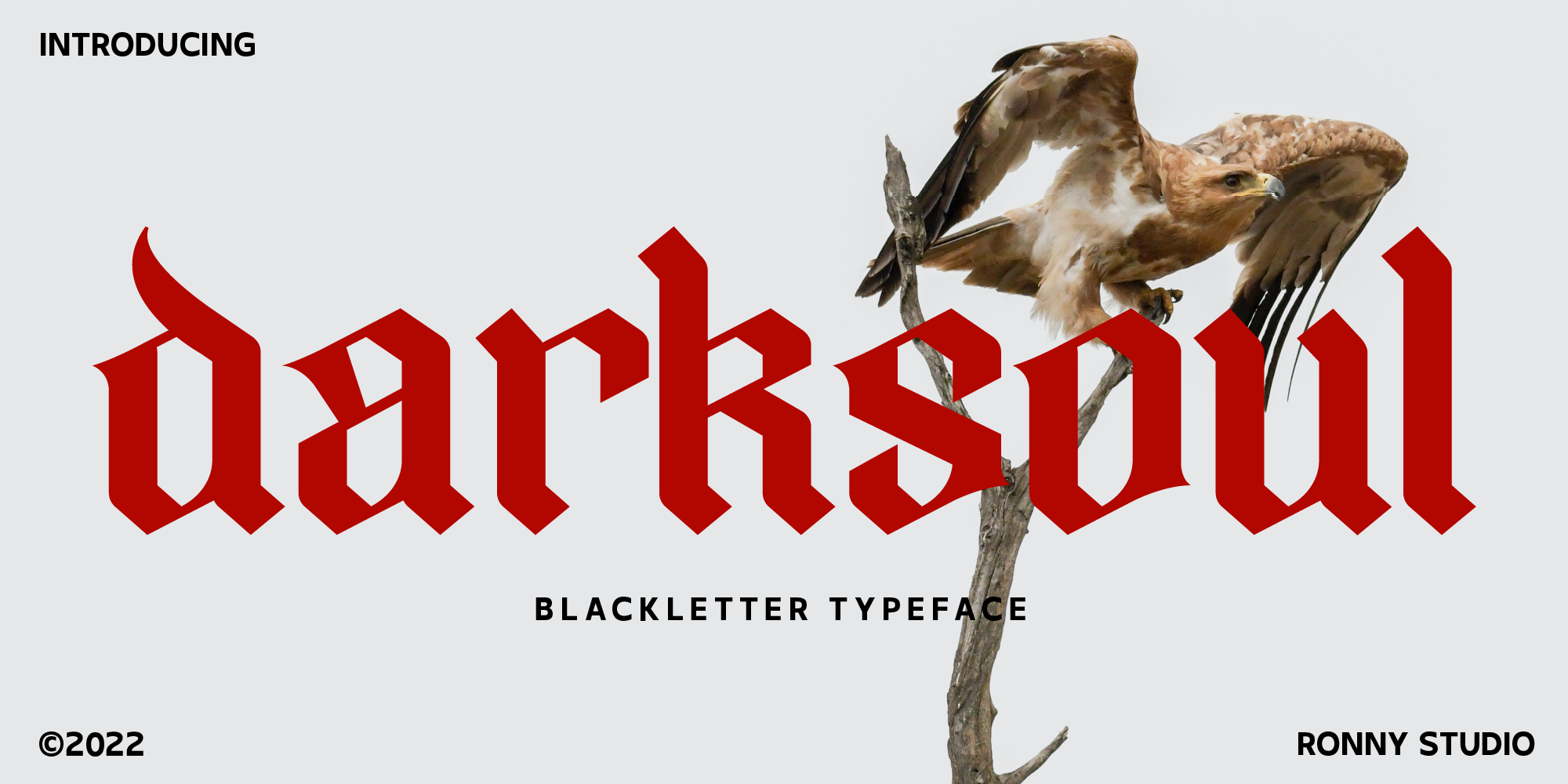 Darksoul Free Download Free Download Darksoul Free Download Free Download
