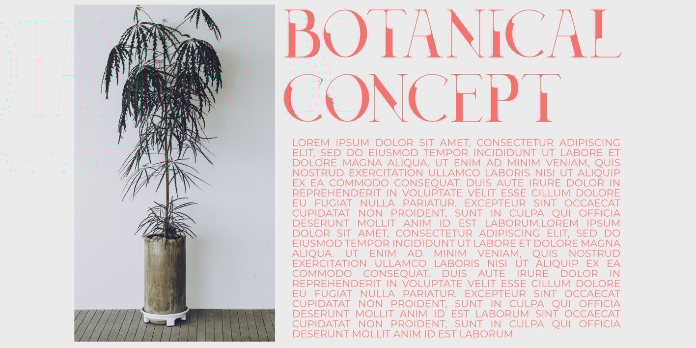 Decoslice Font Free Download Decoslice Font Free Download