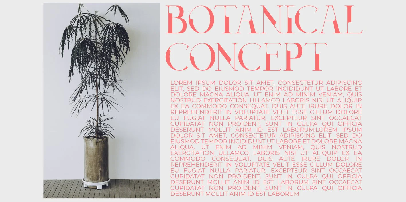 Decoslice Font