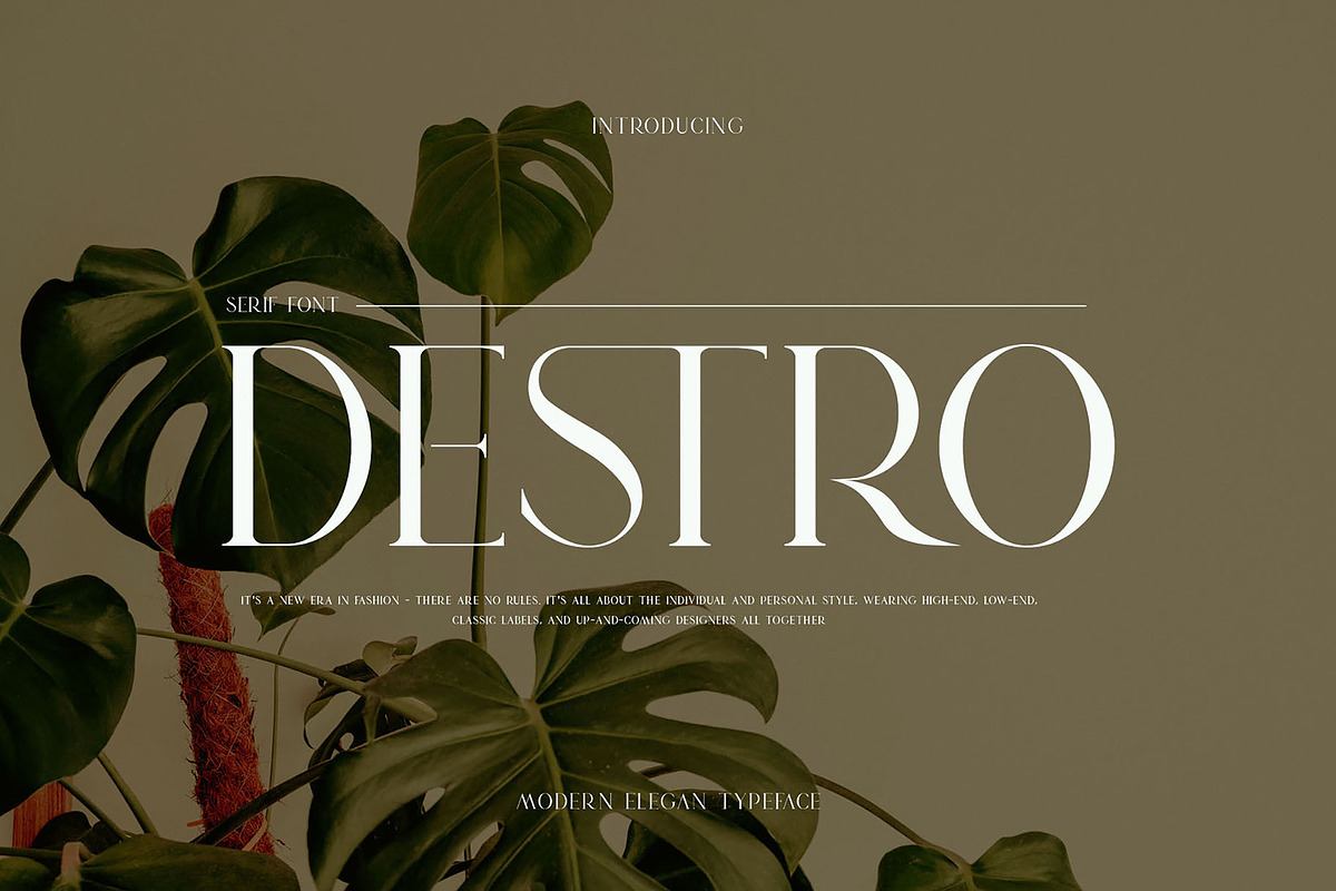 DESTRO Ligature Serif Font Free Download Free Download DESTRO Ligature Serif Font Free Download Free Download