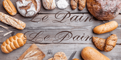 Diane Script Font Free Download Diane Script Font Free Download