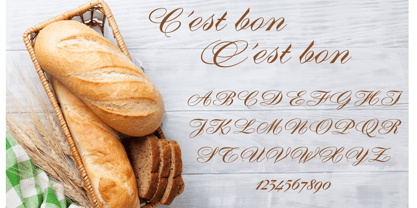 Diane Script Font Free Download Diane Script Font Free Download
