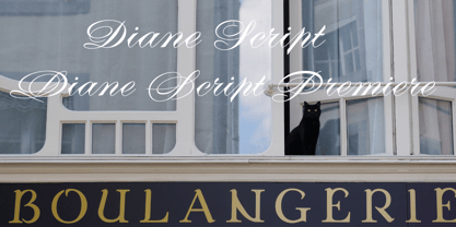 Diane Script Font Free Download Diane Script Font Free Download
