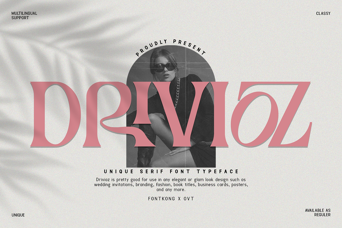 Drivioz - Unique Serif Typeface Font Free Download Free Download Drivioz - Unique Serif Typeface Font Free Download Free Download