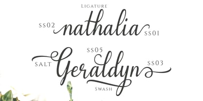 Emilyne Font Free Download Emilyne Font Free Download
