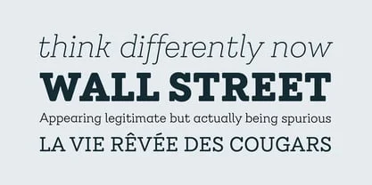 Emy Slab Font