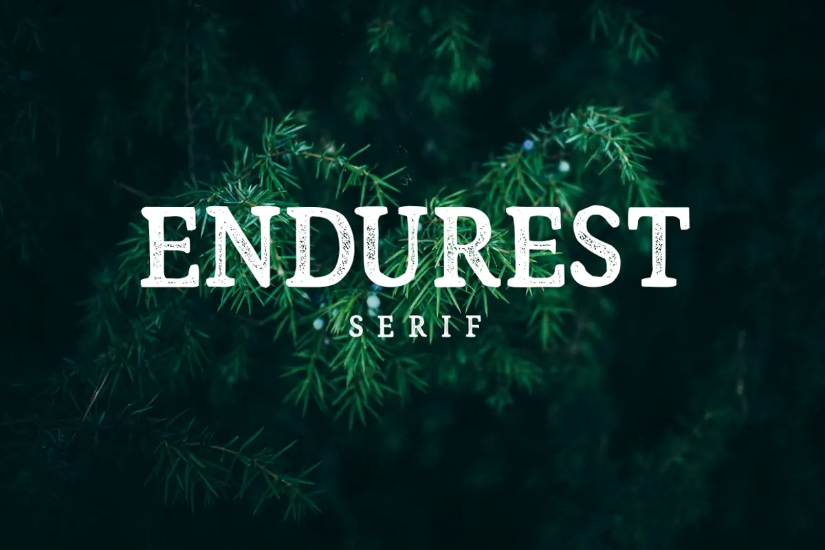 Endurest - Serif Free Download Free Download Endurest - Serif Free Download Free Download