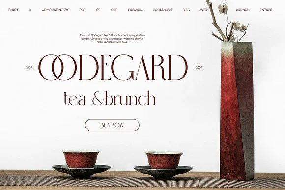 Erosy Elegant Serif Font