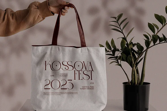 Erosy Elegant Serif Font
