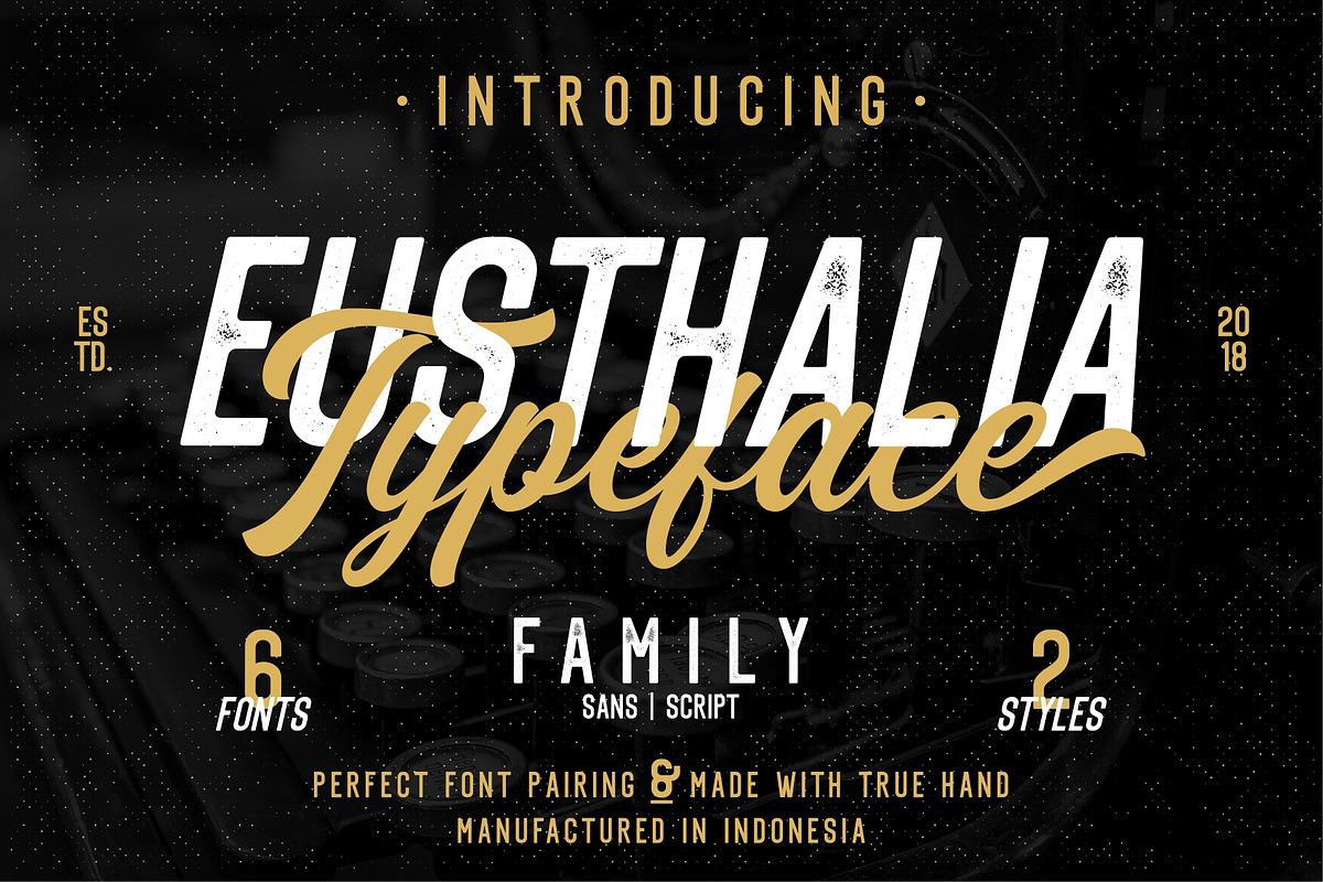 Eusthalia Typeface Family (6 Fonts) Free Download Free Download Eusthalia Typeface Family (6 Fonts) Free Download Free Download