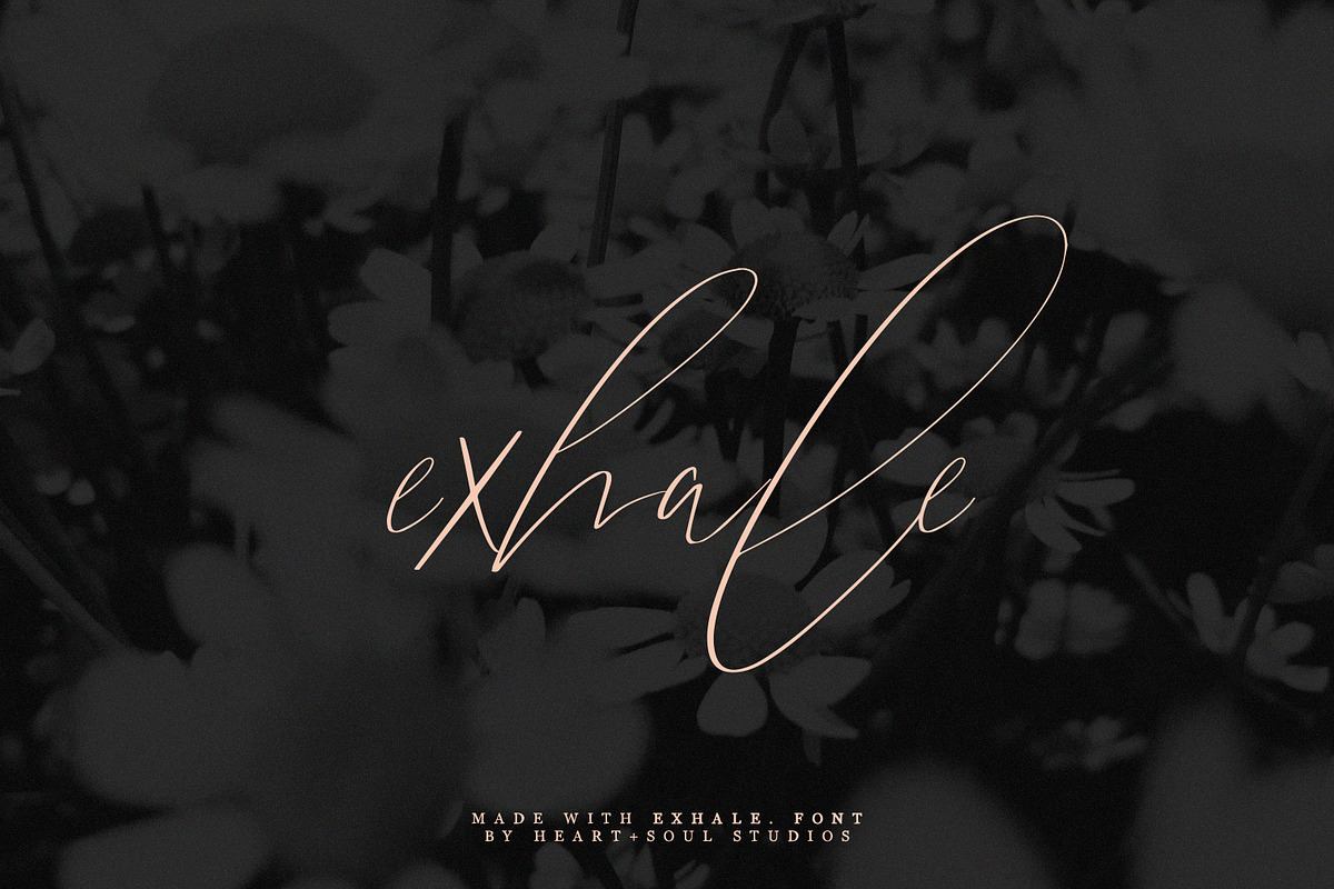 exhale. | calligraphy script font Free Download Free Download exhale. | calligraphy script font Free Download Free Download