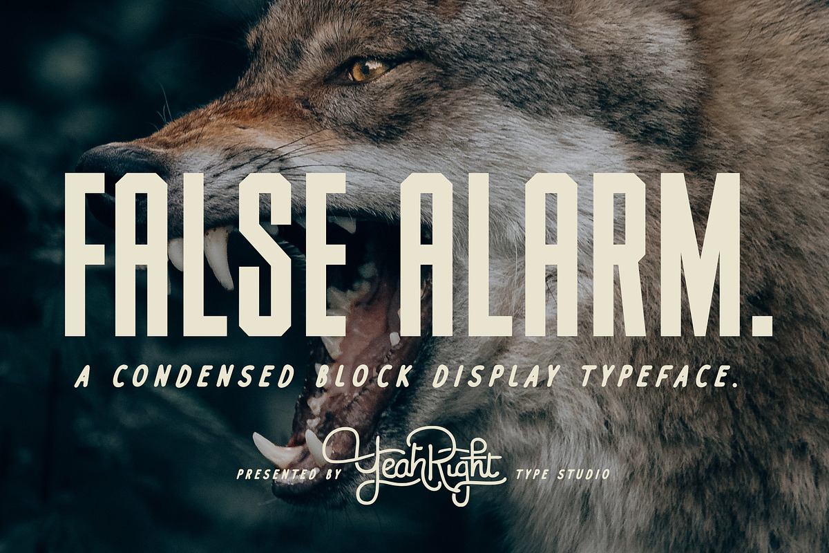 False Alarm Typeface Free Download Free Download False Alarm Typeface Free Download Free Download