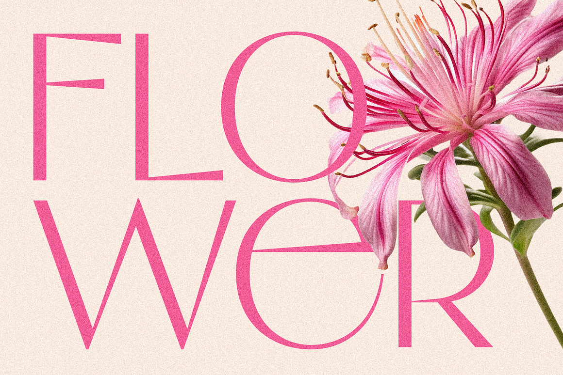 Flambe Font Free Download Flambe Font Free Download