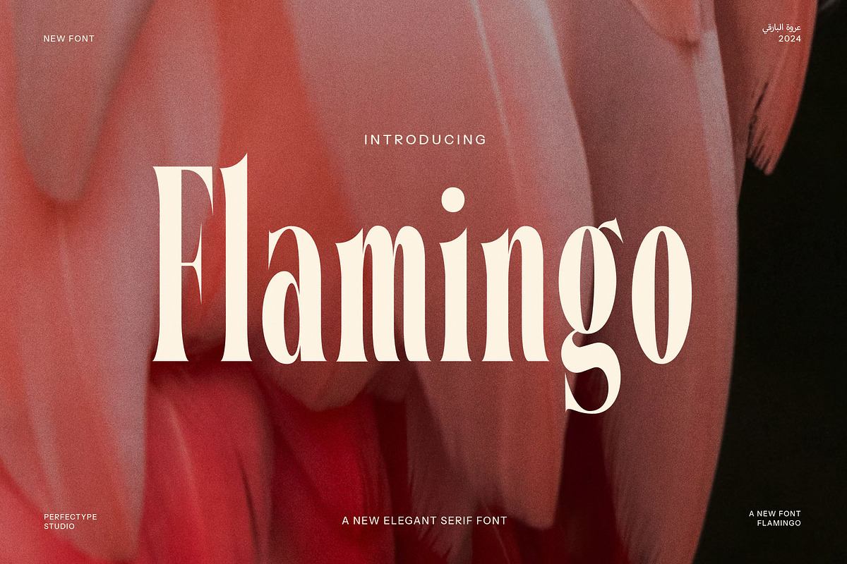 Flamingo Elegant Serif Font Free Download Free Download
