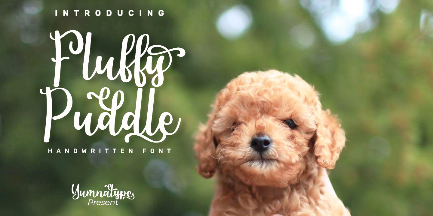 Fluffy Puddle Free Download Free Download Fluffy Puddle Free Download Free Download