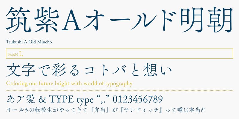 FOT-TsukuAOldMin Pr6N Font Free Download Free Download FOT-TsukuAOldMin Pr6N Font Free Download Free Download