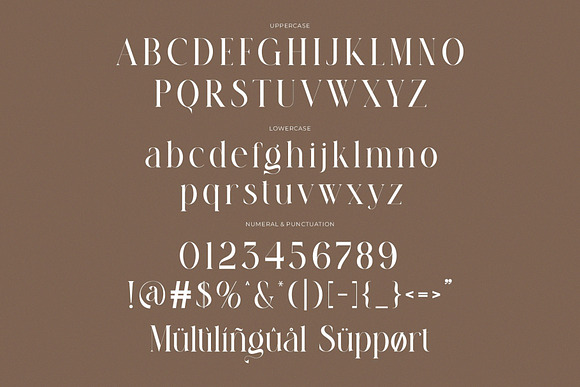 Fragile Modern Ligature Serif Font Free Download Fragile Modern Ligature Serif Font Free Download