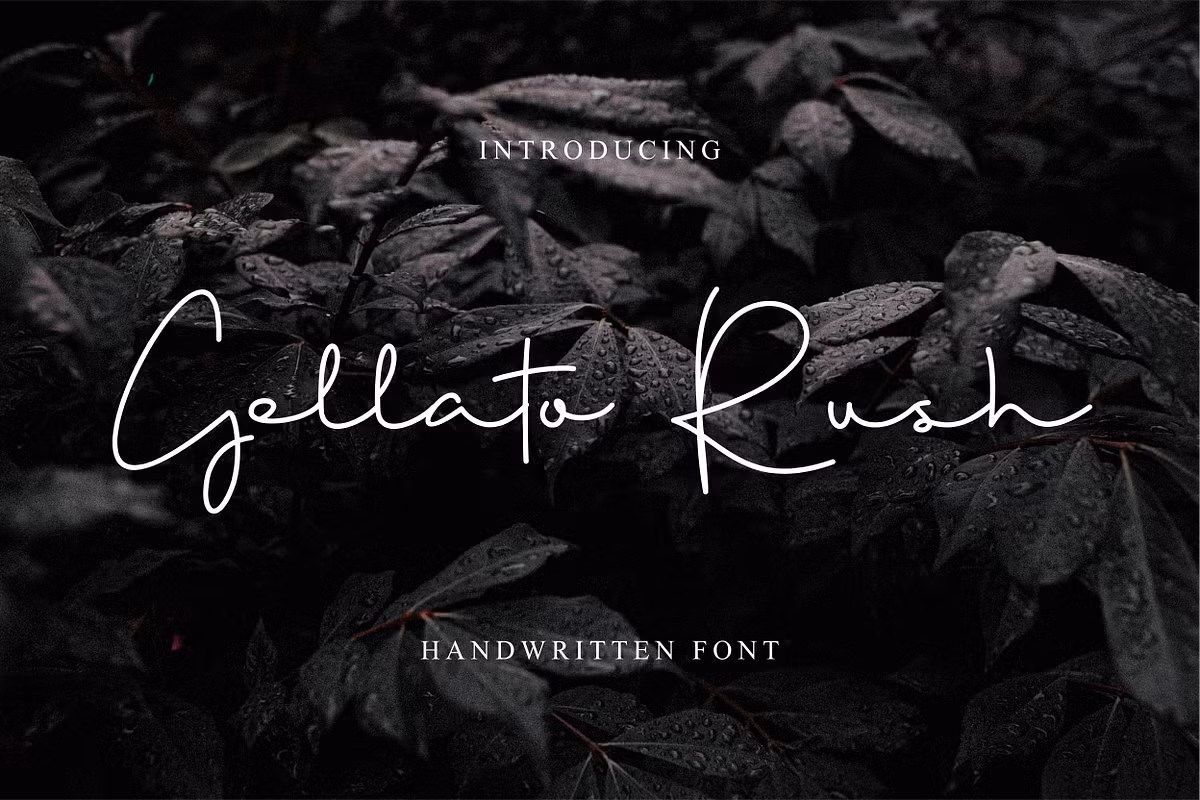 Gellato Rush Free Download Free Download Gellato Rush Free Download Free Download