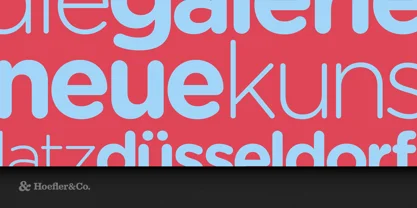 Gotham Font