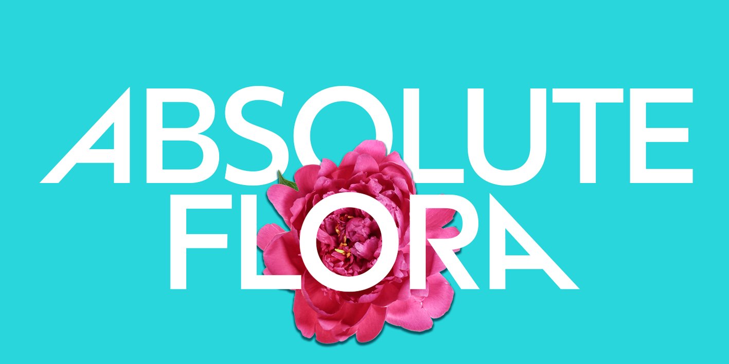 Grava Font Free Download Grava Font Free Download