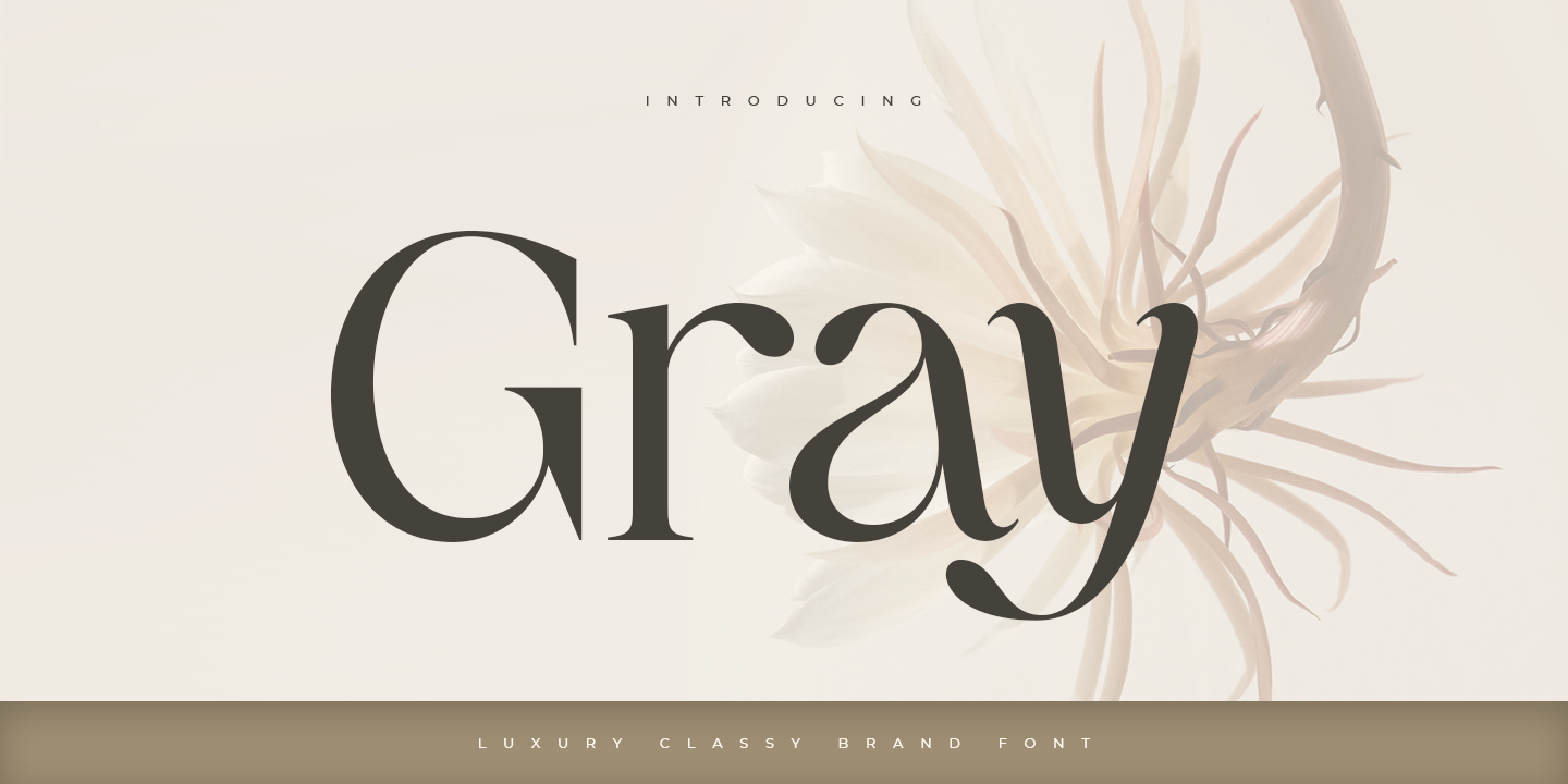 Gray Free Download Free Download Gray Free Download Free Download