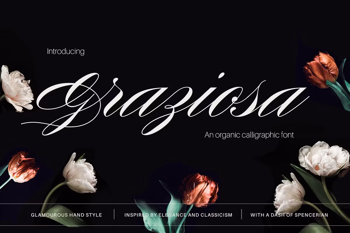 Graziosa Script Font Free Download Free Download Graziosa Script Font Free Download Free Download