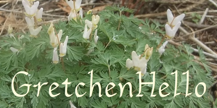 GretchenHello Font Free Download GretchenHello Font Free Download