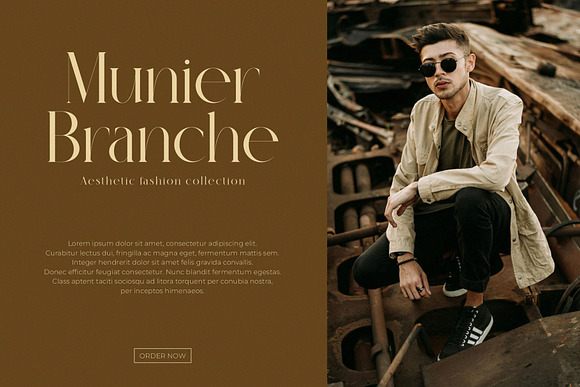 Gulike Elegant Serif Typeface Free Download Gulike Elegant Serif Typeface Free Download