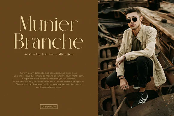 Gulike Elegant Serif Typeface