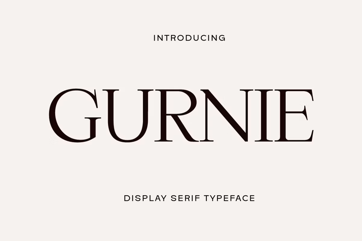 Gurnie Serif Fonts Free Download Free Download Gurnie Serif Fonts Free Download Free Download
