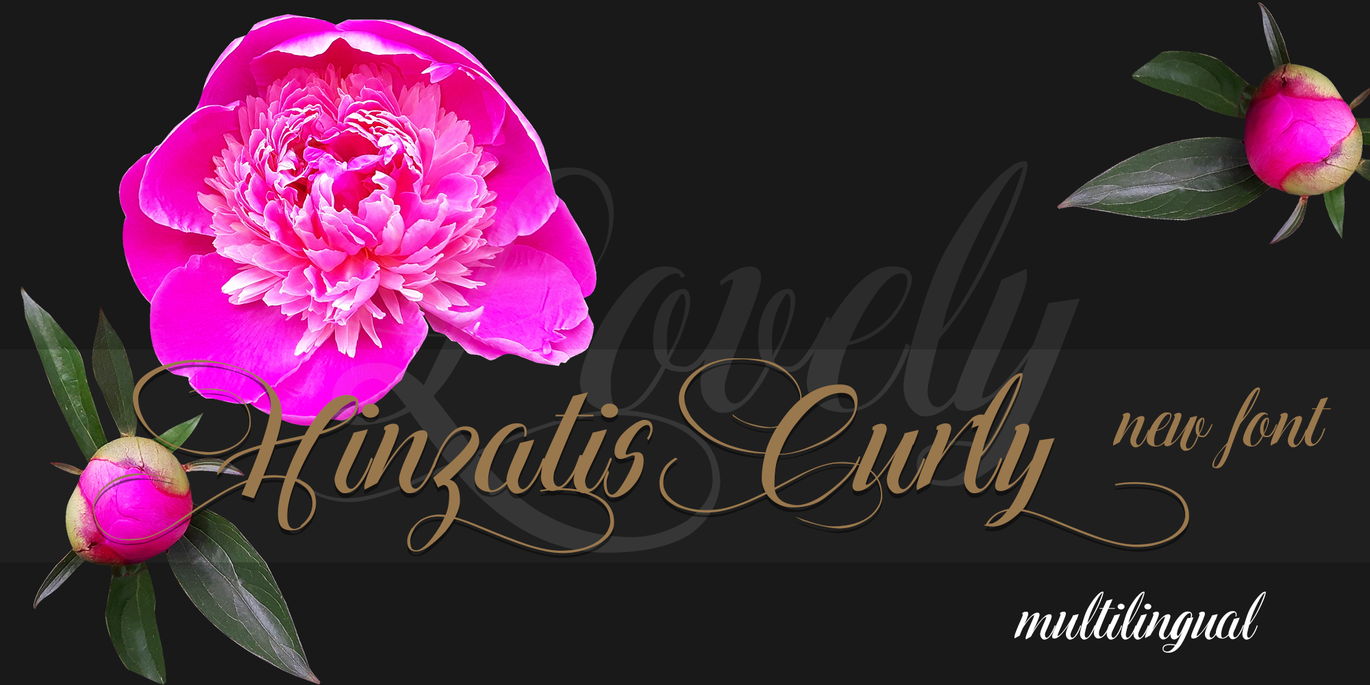 Hinzatis Free Download Free Download Hinzatis Free Download Free Download