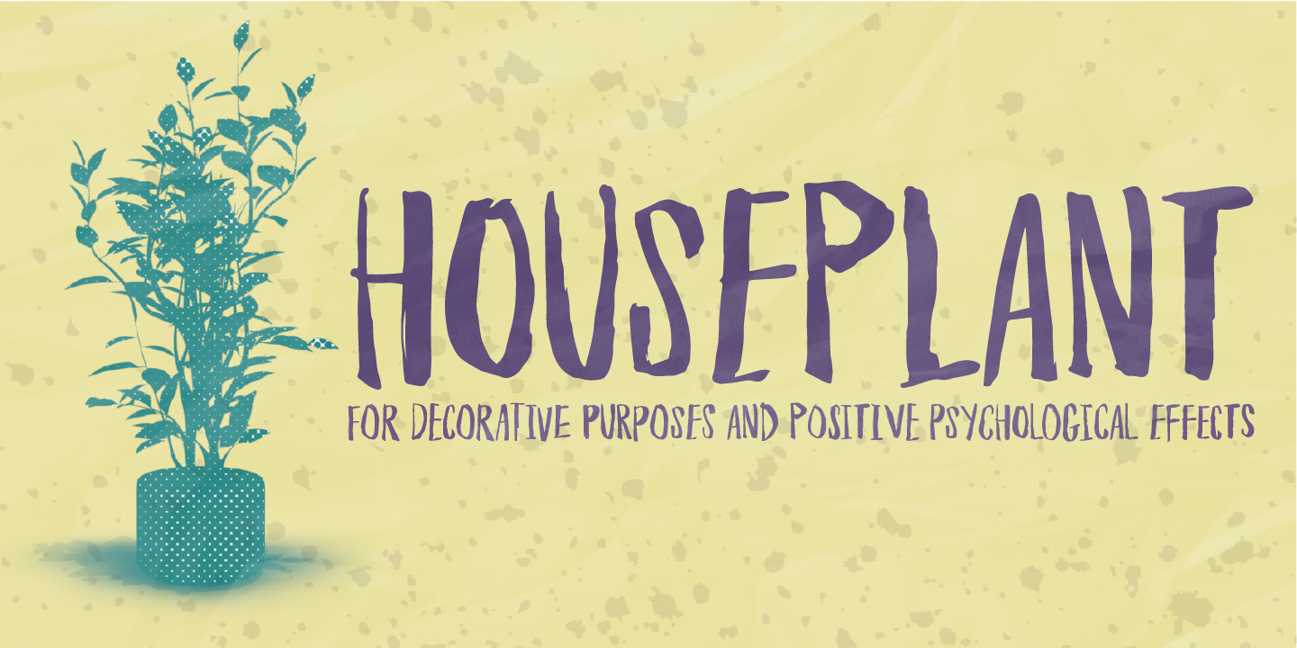 Houseplant Free Download Free Download Houseplant Free Download Free Download