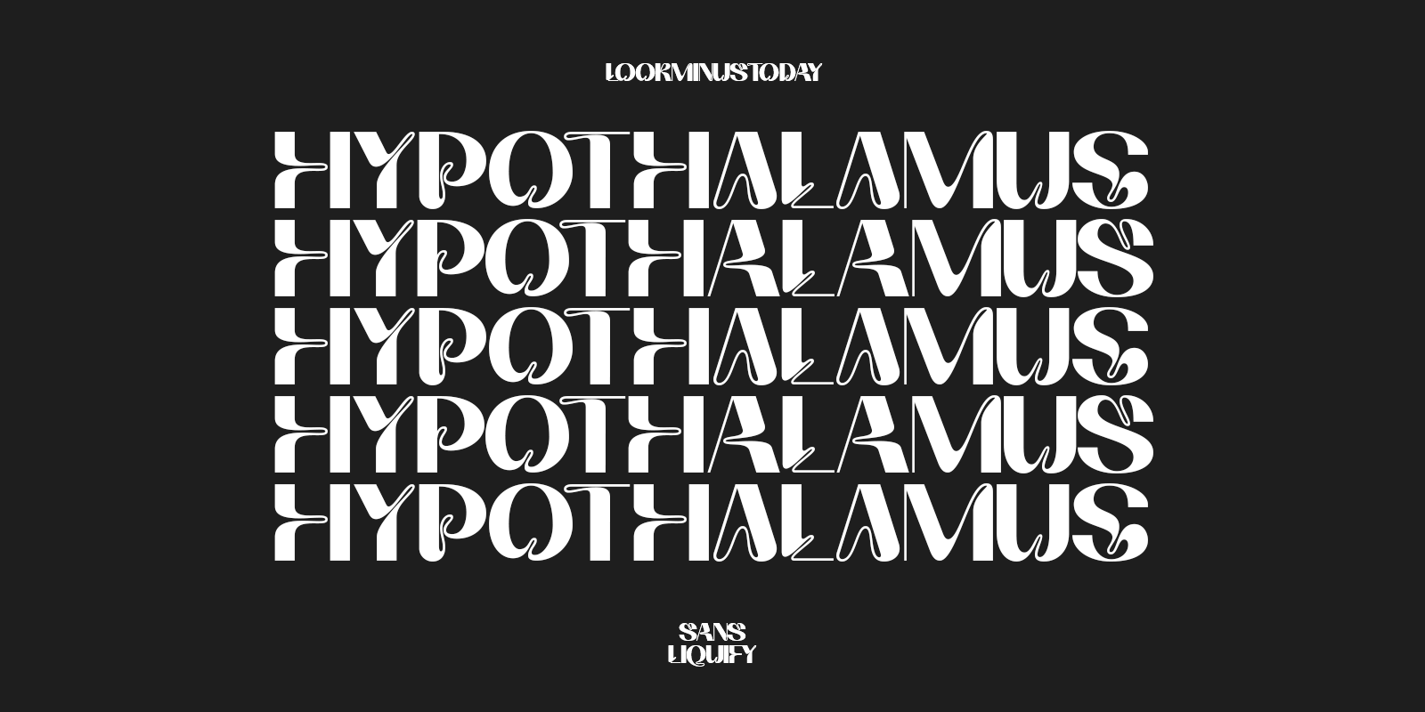 HYPOTHALAMUS Free Download Free Download HYPOTHALAMUS Free Download Free Download