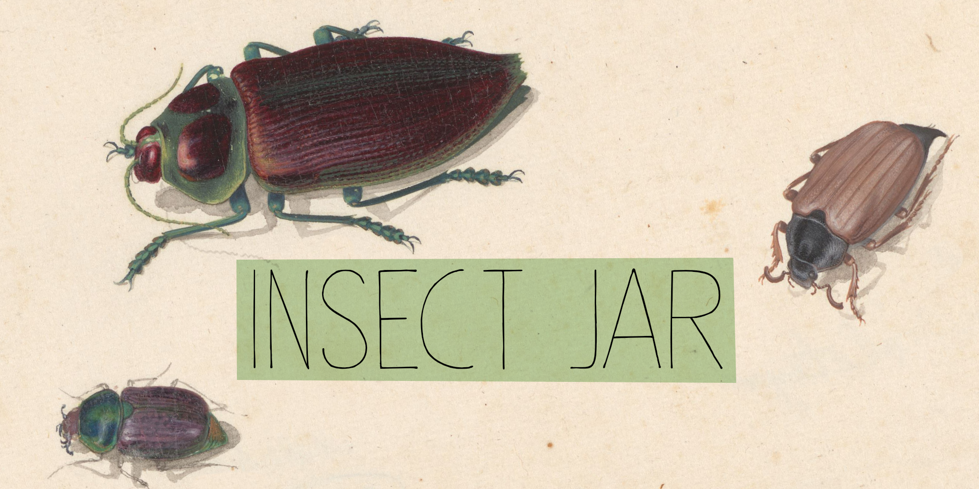 Insect Jar Free Download Free Download Insect Jar Free Download Free Download