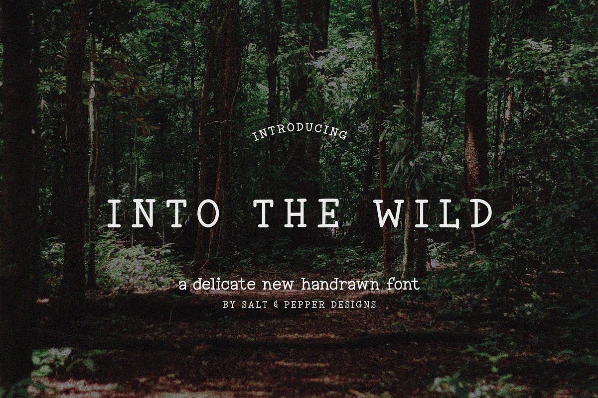 Into the Wild Font Free Download Free Download Into the Wild Font Free Download Free Download