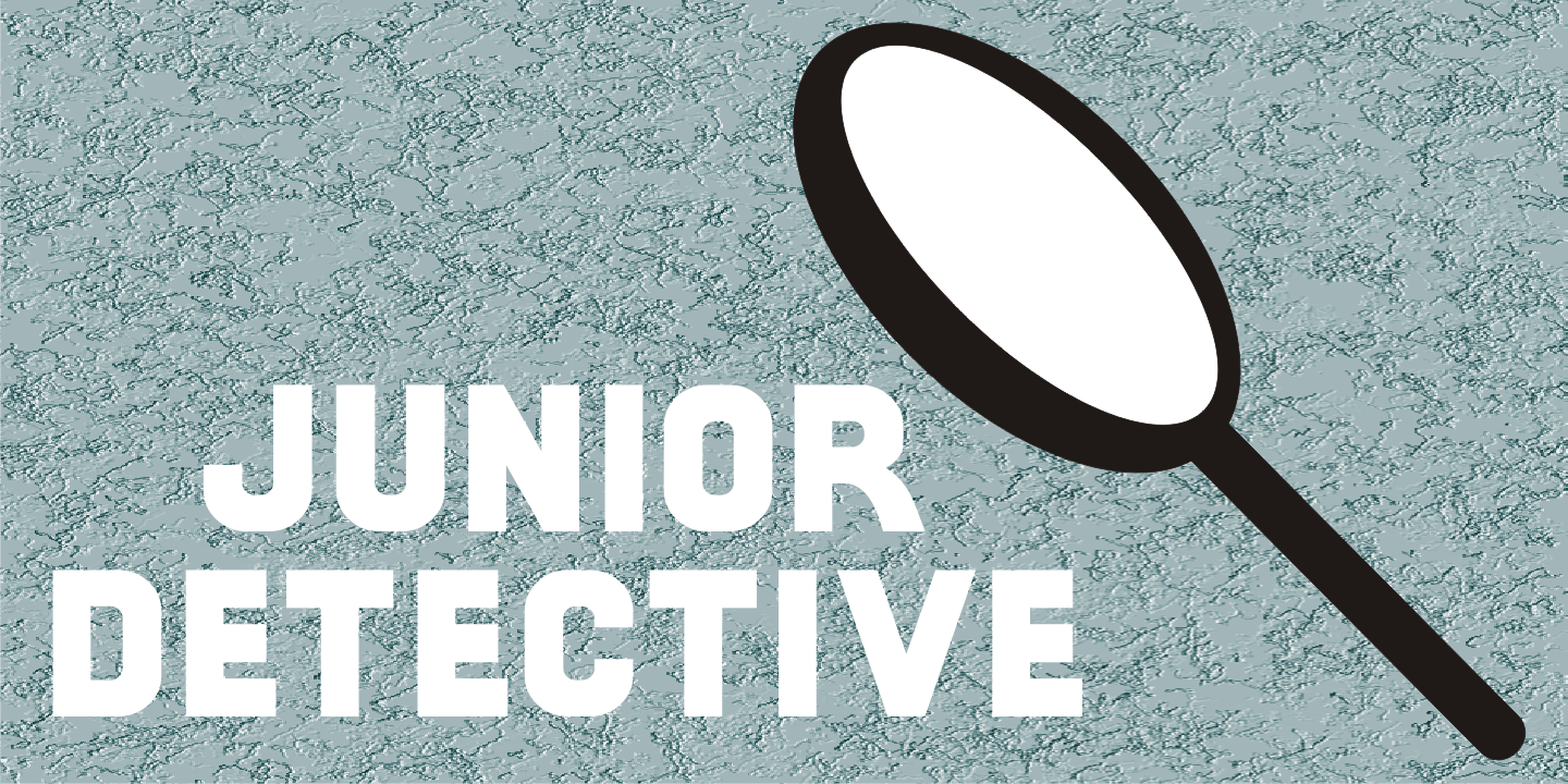 Junior Detective JNL Free Download Free Download Junior Detective JNL Free Download Free Download