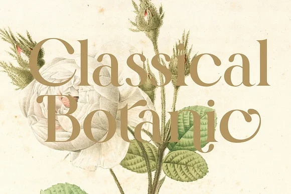 Kalroste Brontela Display Serif Font