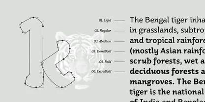 Kamado Font