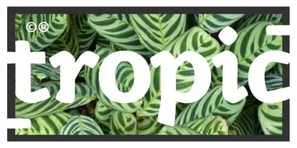 Kamado Font
