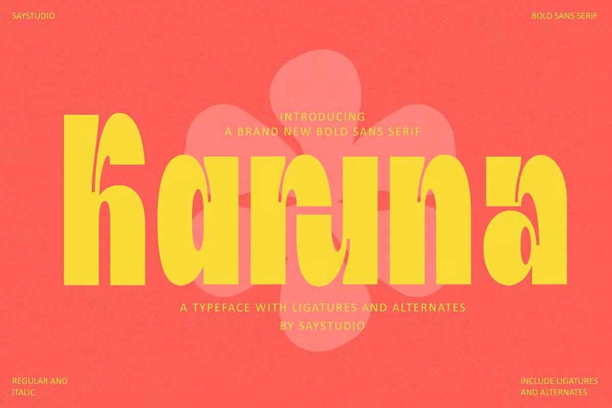 Karuna - Bold Sans Font Free Download Free Download
