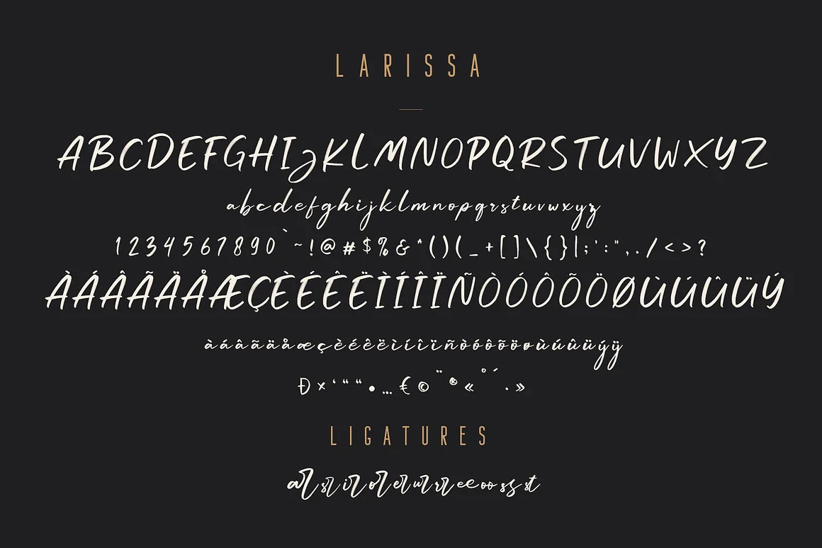 Larissa - Handwritten Font + Bonus